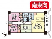 (間取)